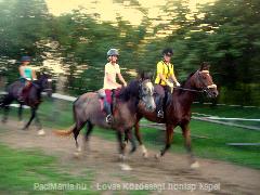 Lovagoltak :) : Horse Photo